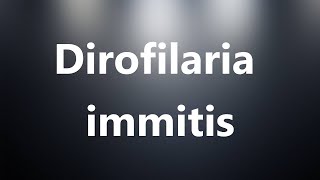 Dirofilaria immitis  Medical Meaning and Pronunciation [upl. by Durer]