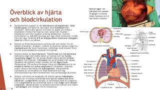 Blodcirkulation  Biologi 2 100 p [upl. by Irmo]