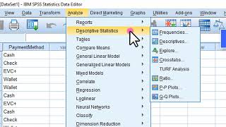 Count amp Percent Count in SPSS AfSomali [upl. by Audris]