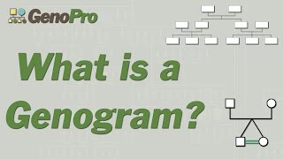 What Is A Genogram [upl. by Ahsinelg]