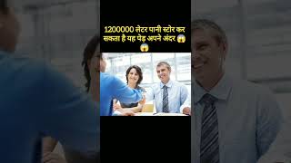 इतना ज्यादा पानी स्टोर कर सकता है यह पेड़ 😱😱 amazing fact video shorts facts allfactboy viral [upl. by Brantley738]