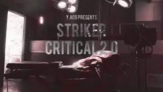 Striker YACG  Critical 20 [upl. by Nivak190]