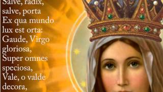 Ave Regina Caelorum Hymn with Lyrics  Latin [upl. by Nuawd623]