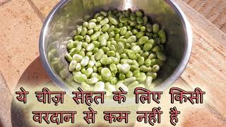 fava beans health benefits in hindifava beans health benefitsसेम की फली के फायदे [upl. by Correy]