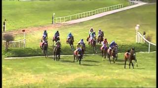 Punchestown Banks Guide [upl. by Lamont]