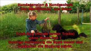 TrickDog Tricks ohne Worte Hundeschule amp Hundepension quotDat Moorhuuskequot Ihlow Birgit Hartmann [upl. by Joye]