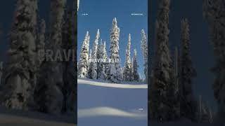 2024 SKIDOO NEW FREERIDE  Adrenaline  Release Overview Reaction [upl. by Dymoke]