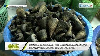 One Mindanao Zamboanga del Sur Zamboanga Sibugay ug Surigao del Norte apektado sa red tide [upl. by Oijres]