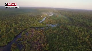 L’Amazonie le poumon vert de la planète [upl. by Adnalohs]