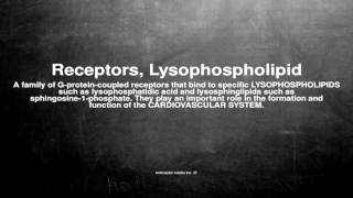 Medical vocabulary What does Receptors Lysophospholipid mean [upl. by Nertie]