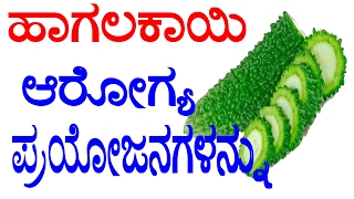 ಹಾಗಲಕಾಯಿ ಆರೋಗ್ಯ ಪ್ರಯೋಜನಗಳನ್ನು   Health Benefits of Bitter Melon Kannada  YOYO TV Kannada [upl. by Kirkwood]