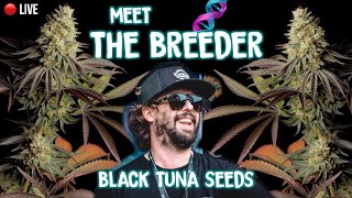 🔴Meet The Genetic Director of Black Tuna Seeds amp Avicanna in Santa Marta Colombia Carlos Vives Jr [upl. by Schreib]