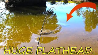 MONSTER FLATHEAD EPIC BATTLE ON LIGHT TACKLE [upl. by Emoryt]