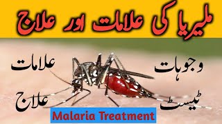 Malaria Causes Symptoms amp Treatment  ملیریا جان لیوا بیماری ہے [upl. by Emiline]