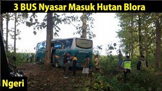 3 BUS Nyasar Masuk Hutan Blora Jawa Tengah [upl. by Shaun]