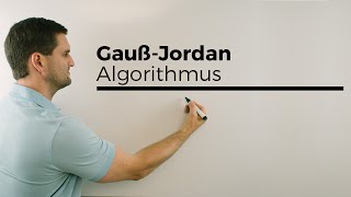 GaußJordanAlgorithmus lineares Gleichungssystem lösen  Mathe by Daniel Jung [upl. by Notyep492]