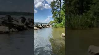 Video of Chickahominy Riverfront Park VA from Cindy P [upl. by Winstonn]