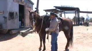 Correcting a Horse that Moves when Mountingwmv [upl. by Ait]