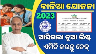 Kalia Yojana New List Check Online 2023Kalia Yojana New List Download OnlineKalia Yojana 2023 [upl. by Sansbury778]