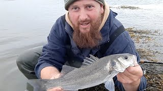 Bass fishing with soft plastic and plugs in Anglesey N Wales UK [upl. by Yebloc]