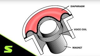 Understanding Mic Specifications  Part I  Operating Principle [upl. by Niriam]