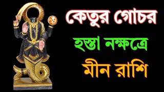 কেতুর গোচর। হস্তা নক্ষত্রে। মীন রাশি। মীনরাশিফল2024 মীনরাশি মীন [upl. by Darice]