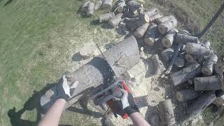 Chainsaw Efco MTT2500  Cold startup e 9 Inch cutting [upl. by Accemahs]