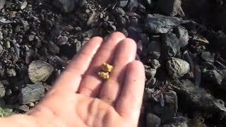 Garrett Infinium finds 14 OZ Gold Nugget in N California [upl. by Weisberg]