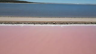 Nullarbor Day 1 Penong Windmills Point Sinclair amp The Pink Lakes [upl. by Mauro872]