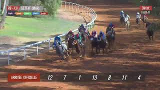 Live Hippodrome « SETTAT »  Courses du « 27092023 » [upl. by Sunday759]