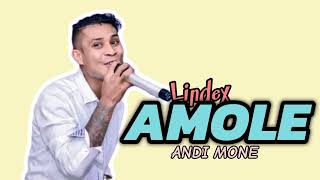 AMOLE  Lagu Dansa Kizomba COVER ANDI MONE🔥 [upl. by Avahc]