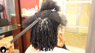 1 million views BEST how to video•• Two Strand Twists done on damp hair lasts 35 weeks [upl. by Floro]