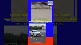 Driver’s education courses and safe driving classes [upl. by Nicol]