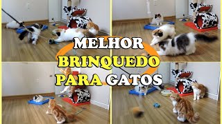 MELHOR BRINQUEDO PARA GATOS  Jackson Galaxy  Gatil Hauser [upl. by Nomyad]