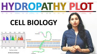 Hydropathy Plot I Cell Biology I Hydropathy Index I CSIRNET I GATE I TIFR I ICMR I ICAR I DBT I IIT [upl. by Shea]