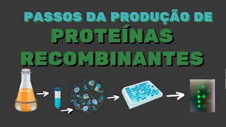 Como Produzir Proteínas Recombinantes [upl. by Presley573]