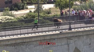 Toro de cajon Tordesillas 2024 domingo 15 [upl. by Andriana935]