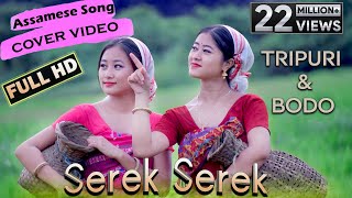 Assamese Dance Cover  Tripuri amp Bodo  Performance byHana amp Manorama FHD 2020 [upl. by Lesde68]