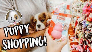 SHOPPING FOR OUR NEW PUPPY [upl. by Cacia]