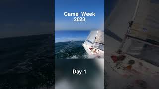 Camel Week 2023  Champagne Sailing 🍾 [upl. by Rebah]