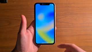 Ripristinare di fabbrica Apple iPhone XR  GiovaTech [upl. by Kcirdaed]