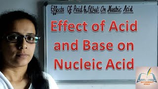 Effect of Acid and Base on Nucleic Acid Structure of DNA and RNA DNA hydroysis Rna hydrolysis [upl. by Leggat476]