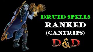 Druid spells ranked Cantrips [upl. by Dailey]