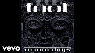 TOOL  Vicarious Audio [upl. by Heida992]