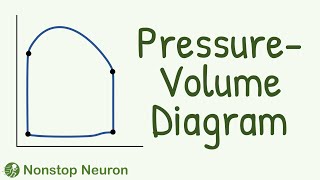 ONLY TOPPERS DARE to Study Pressure Volume Diagram During the Cardiac Cycle  Pressure Volume Loop [upl. by Ahens681]