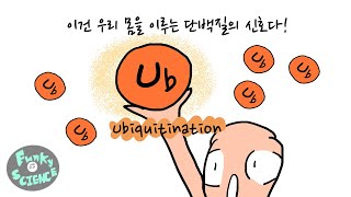 그리는 과학 83화 Ubiquitination 이건 우리 몸안의 단백질이 주고받는 신호이자 대화의 시작점이다 [upl. by Htebazle]