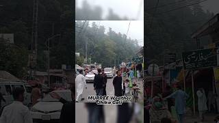 Murree Weather Today  Murree Jhika Gali Today murree murreeweather touristspot murreehills [upl. by Paschasia]