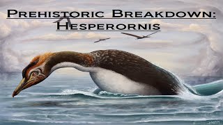 Prehistoric Breakdown Hesperornis [upl. by Nylyoj577]