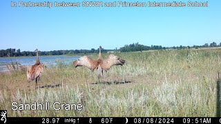 2024 Wildlife Refuge Festival Video [upl. by Haissi943]