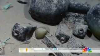 200 year old pirate ship found in the gulf of Mexico [upl. by Lloyd591]